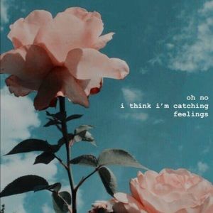 Meet your Posher, Santanna